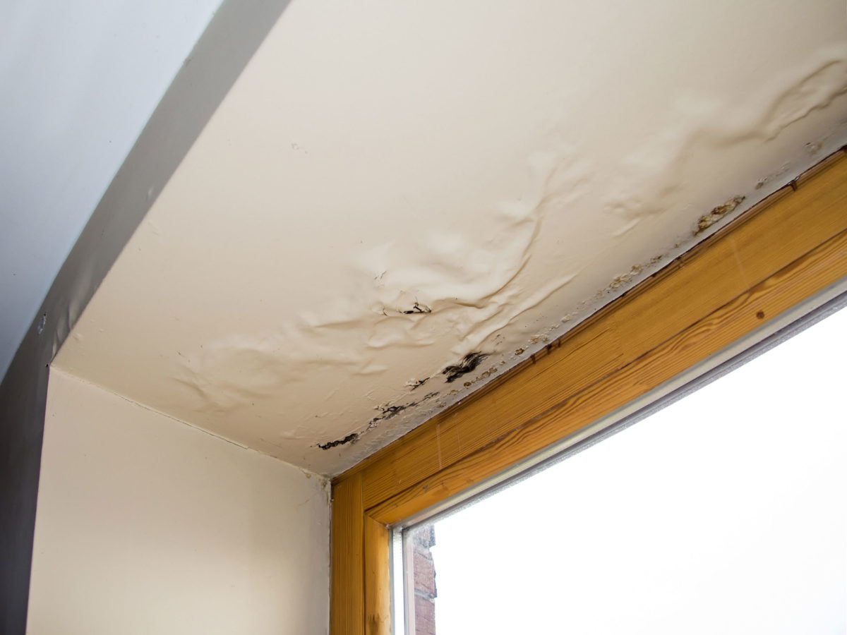 UV and Membrane Weathering in Tacoma, WA