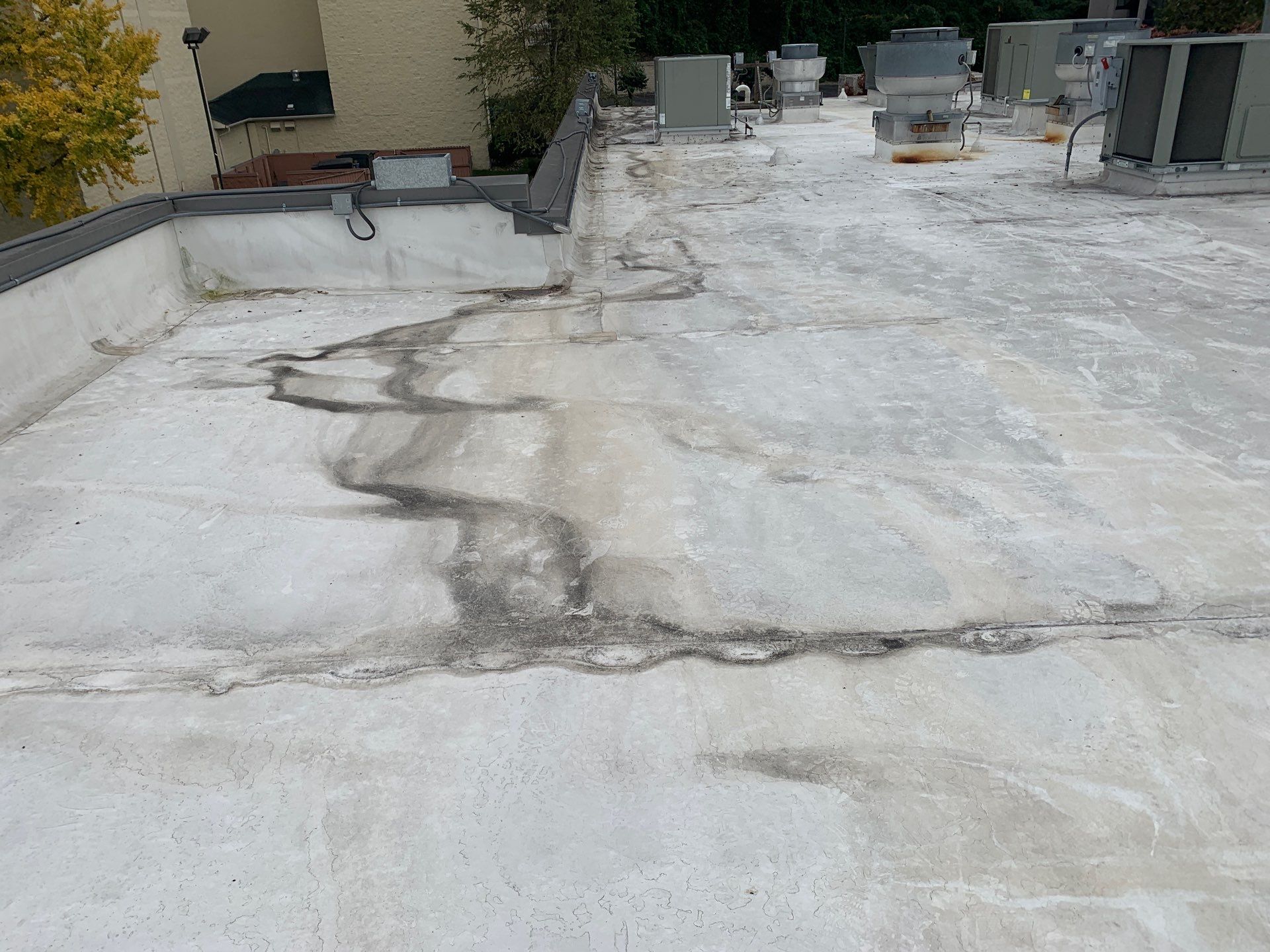 Wind Damage Roof Repair in Tacoma, WA