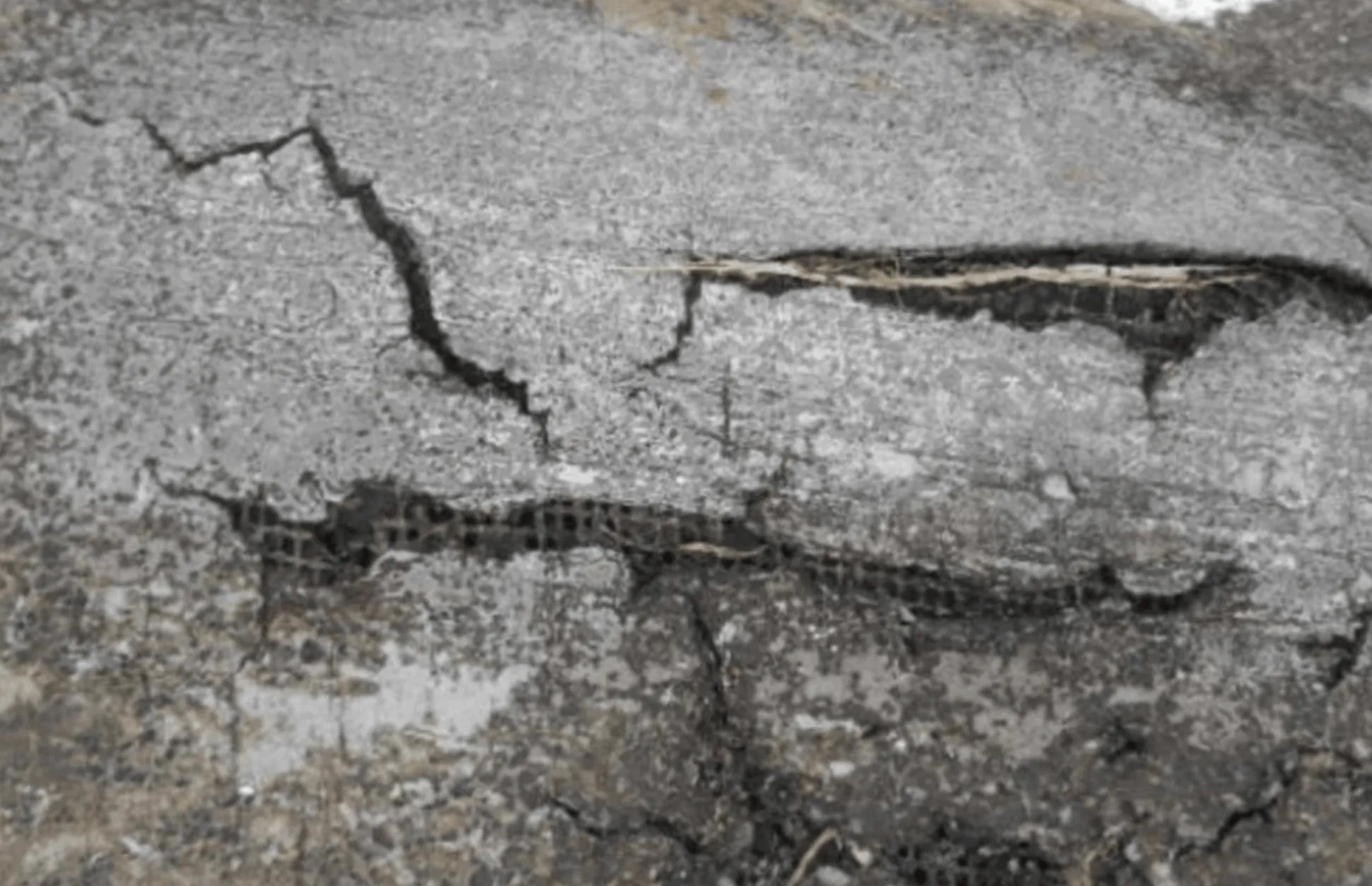 Commercial Roof Leak Repair in Tacoma, WA