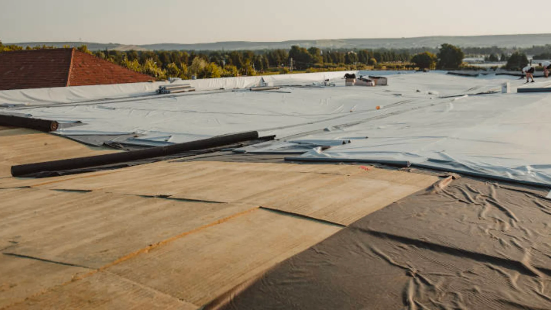 Emergency Dry In Tarping in Tacoma, WA